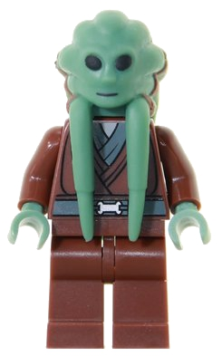 Kit Fisto