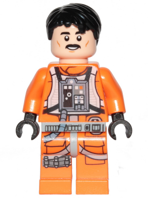 Biggs Darklighter (Hair)